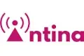 Antina